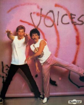 Hall And Oates poster tin sign Wall Art
