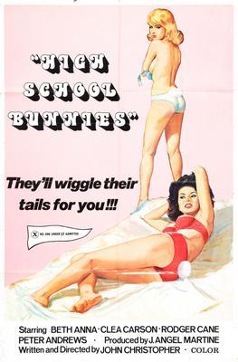 High School Bunnies Metal Movie Poster 8in x 12in