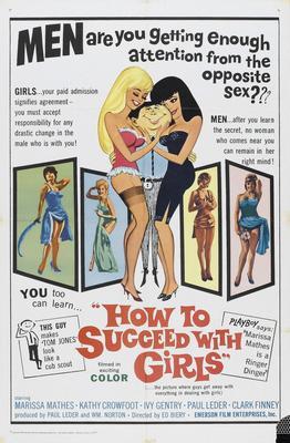 How To Succeed With Girls Metal Movie Poster 8in x 12in