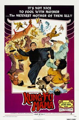 Kung Fu Mama Metal Movie Poster 8in x 12in The Poster Depot