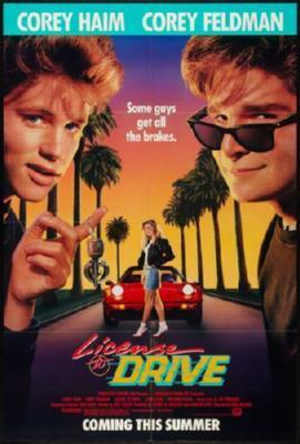 License To Drive Poster On Sale United States