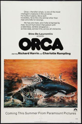 Orca Metal Print 8in x 12in
