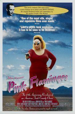 Pink Flamingos movie poster Metal Print 8in x 12in