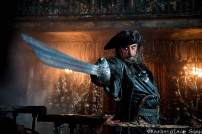 Pirates Of The Caribbean On Stranger Tides movie poster Metal Print 8in x 12in