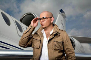 Pitbull 11inx17in Mini Poster #01 Jet