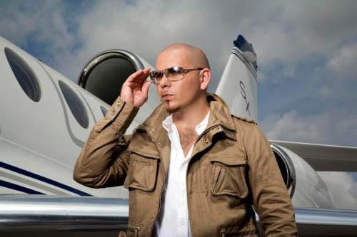 Pitbull Metal Poster Print | The Poster Depot The Poster Depot