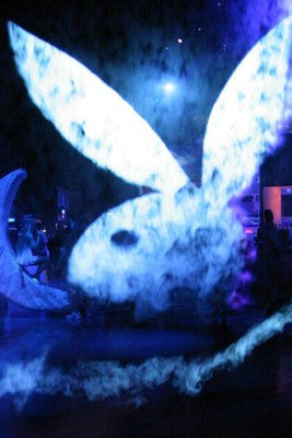 Playboy 3D Fog Art Metal Movie Poster 8in x 12in The Poster Depot