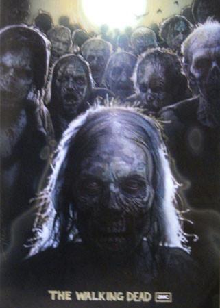 The Walking Dead Zombies 2'X3' Poster 16x24 - Fame Collectibles
