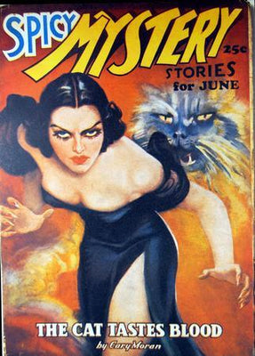 Pulp Fiction Novel Art Poster Spicy Mystery Cat Tastes Blood On Sale United States