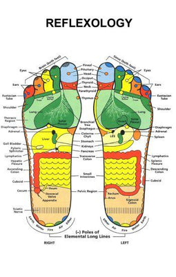 Reflexology Foot Photo Sign 8in x 12in