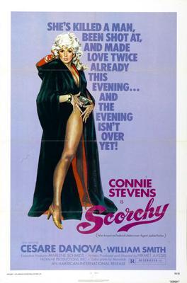 Scorchy movie poster Sign 8in x 12in