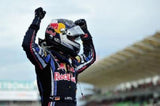 Sebastian Vettel Metal Poster Print 8in x 12in 12"x16" The Poster Depot