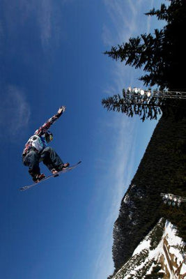 Shaun White Photo Sign 8in x 12in