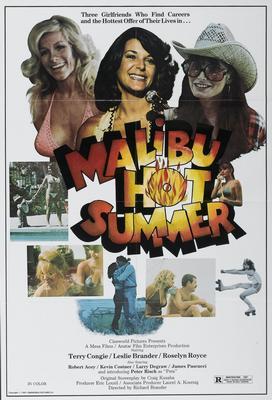 Malibu Hot Summer Metal Movie Poster 8in x 12in