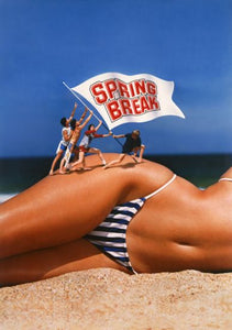 Spring Break Movie Poster11 x 17 inch