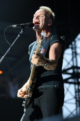 Sting Metal Print 8in x 12in