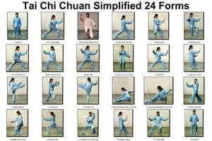 Tai Chi Chuan 16 Forms poster| theposterdepot.com