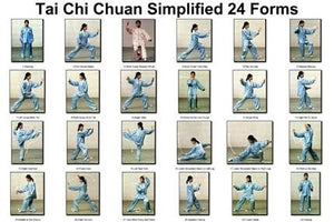 Tai Chi Chuan 24 Forms Poster 11x17 Mini Poster
