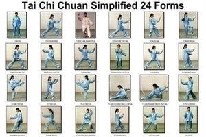 Tai Chi Chuan 24 Forms Poster Metal Print 12"x16"