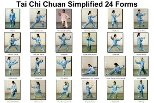 Tai Chi Chuan 24 Forms Poster 11x17 Mini Poster