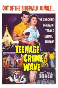 Teenage Crimewave Movie Poster 11x17 Mini Poster