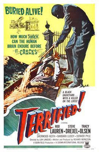 Terrified movie poster Sign 8in x 12in