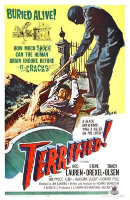 Terrified movie poster Sign 8in x 12in