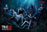 True Blood Cast poster tin sign Wall Art