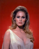 Ursula Andress poster tin sign Wall Art