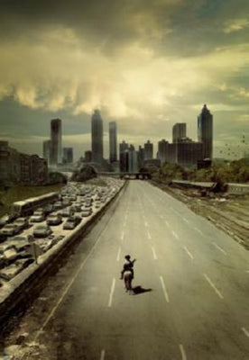 Walking Dead Poster 24in x 36in The Poster Depot