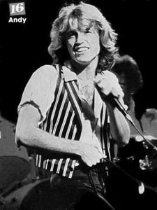 Andy Gibb black and white poster