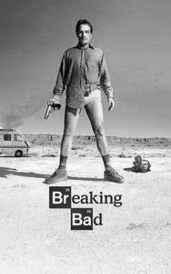 Breaking Bad poster tin sign Wall Art