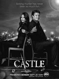 Castle poster tin sign Wall Art
