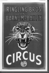 Ringling Bros. Circus Poster Black and White Mini Poster 11"x17"