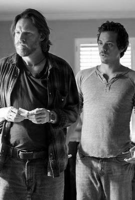 Terriers Poster Black and White Poster 16x24 The Poster Depot