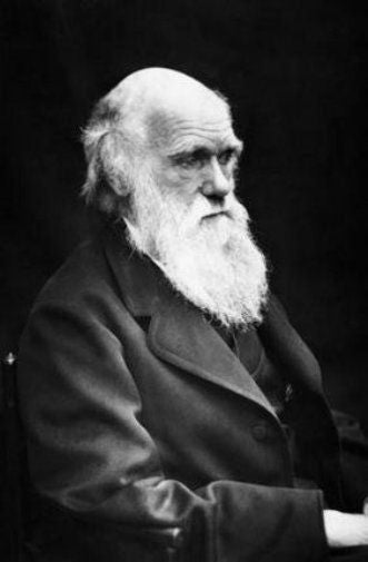 Charles Darwin black and white poster