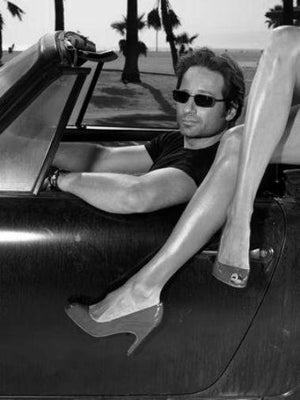 David Duchovny black and white poster