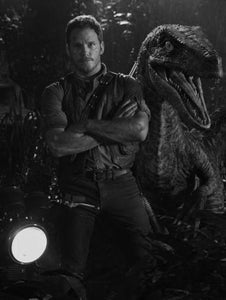 Jurassic World Black and White poster for sale cheap United States USA