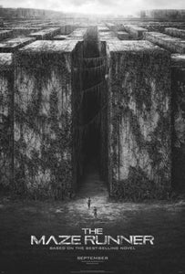 Maze Runner The Black and White poster for sale cheap United States USA