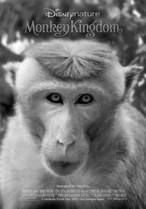 Monkey Kingdom Black and White poster for sale cheap United States USA