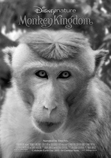 Monkey Kingdom Black and White Poster 24
