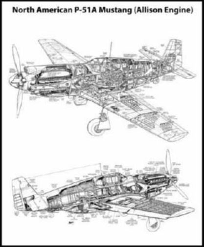 Mustang P51 Cutaway Poster Black and White Mini Poster 11