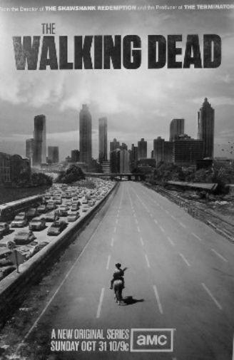 Walking Dead Black and White Metal Poster Choose Style | The Poster Depot The Poster Depot