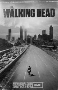 Walking Dead poster tin sign Wall Art