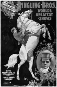 Ringling Circus Poster Black and White Mini Poster 11"x17"