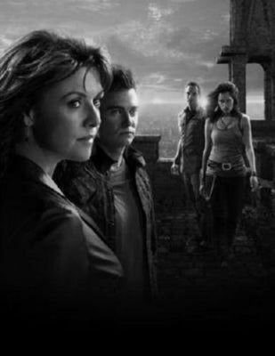 Sanctuary Metal Poster Wall Art 8in x 12in 12"x16" Black and White The Poster Depot