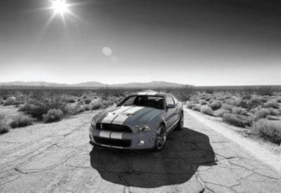 Shelby GT-500 Poster Black and White Poster 27"x40" The Poster Depot