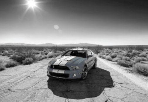Shelby GT500 Poster Black and White Poster On Sale United States