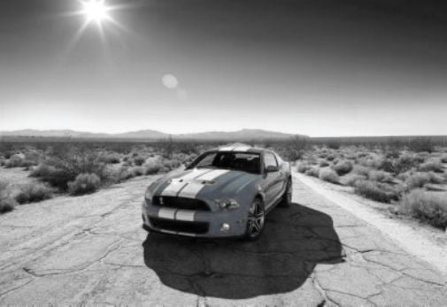 Shelby GT-500 poster Black and White poster for sale cheap United States USA