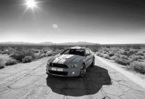 Shelby GT-500 Poster Black and White Mini Poster 11"x17"